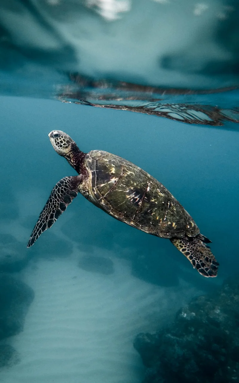 B2B-marknadsföring 2026: vad som faktiskt förändras och vad som inte förändras